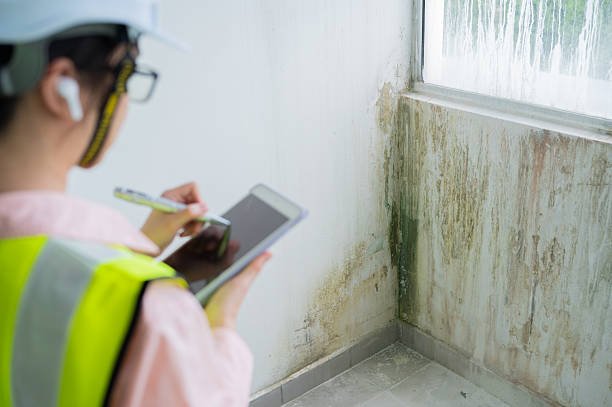 closeup asian chinese female construction inspector recording building