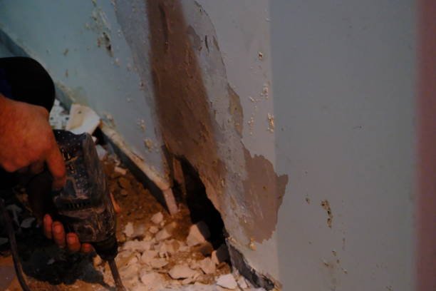 istockphoto-2189656606-612x612